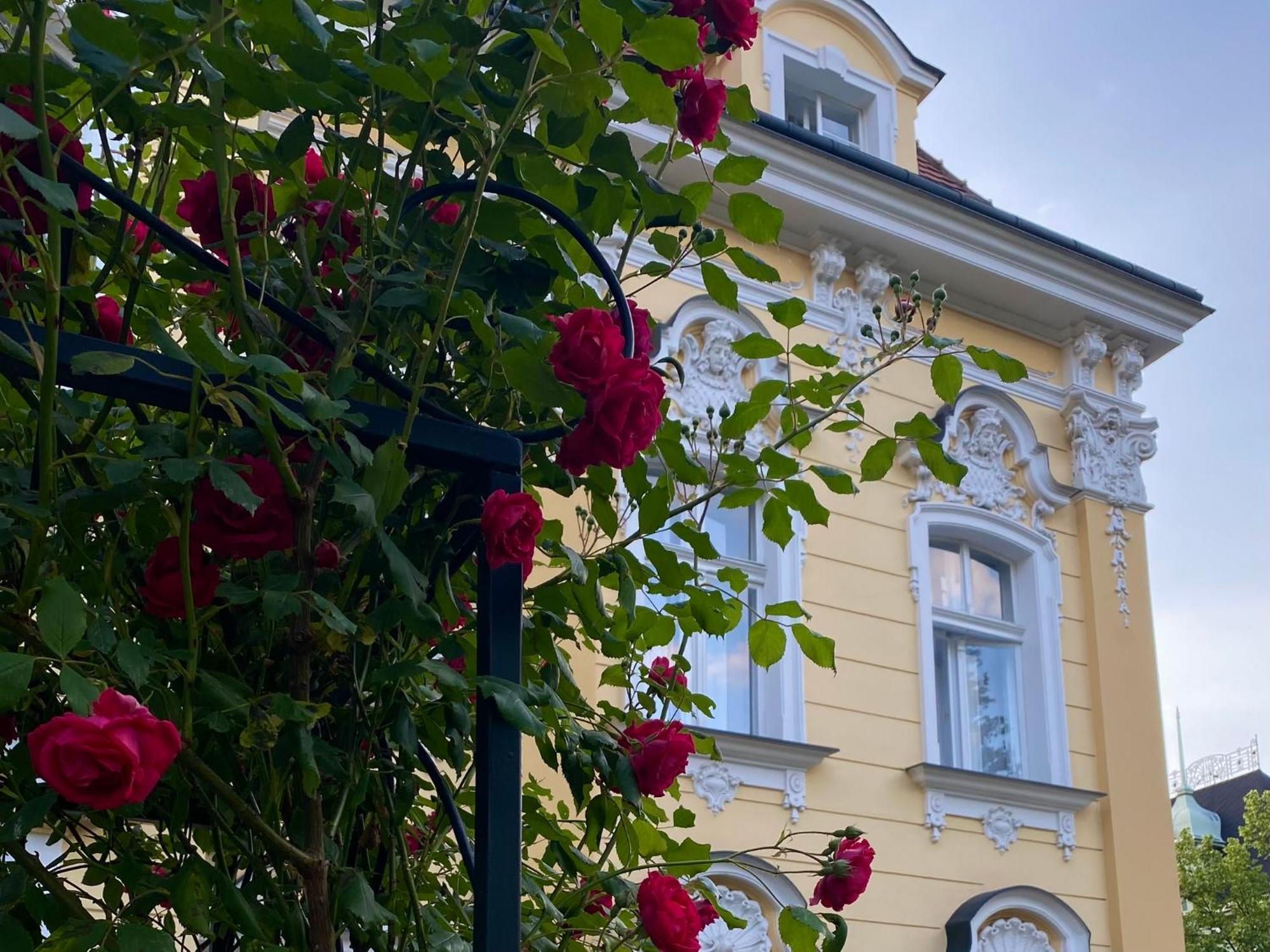 Salve Teplice Daire Dış mekan fotoğraf